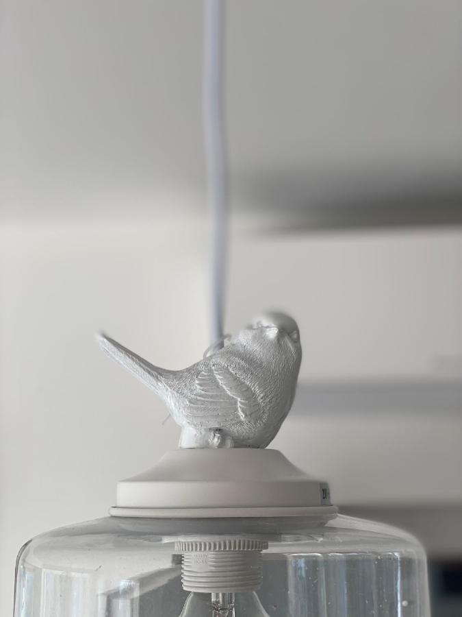Verdolivo 塞里马拉西诺 外观 照片